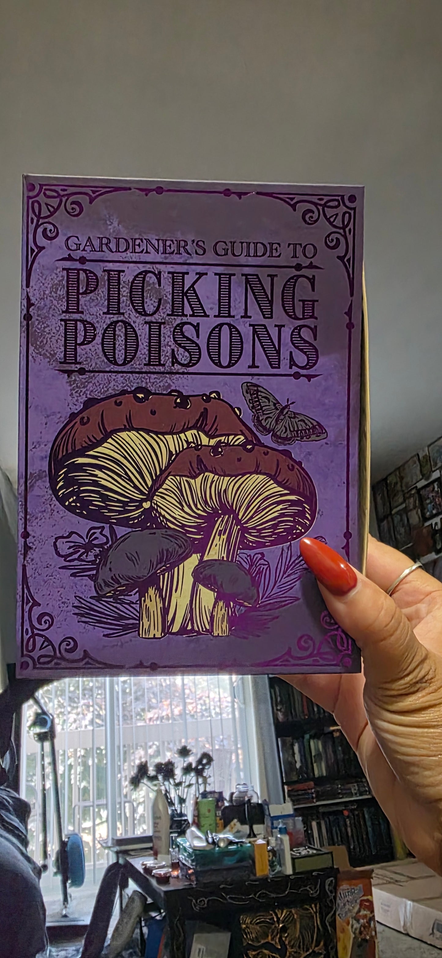 Spooky Box Journals